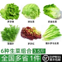 新鮮沙拉蔬菜組合6種3.5斤 生菜蔬菜西餐沙拉健身食材