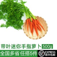 迷你手指胡蘿卜500g 新鮮蔬菜帶葉水果