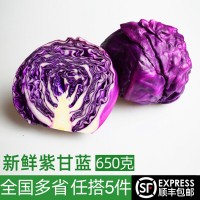 紫甘藍650g 紫包菜球  西餐沙拉蔬菜生菜輕食健身食材