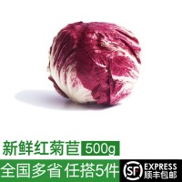 紅菊苣500g 落地紅球生菜 新鮮蔬菜生菜沙拉食材