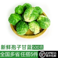 孢子甘藍500g 新鮮迷你小包菜小卷心菜