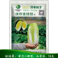 易種植易管理 娃娃菜種子500粒