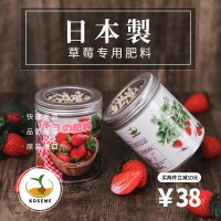 莓專用肥料 蔻斯麥花園盆栽園藝植物營養顆粒350G 一罐