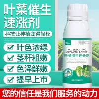 葉菜催生速漲劑 葉片濃綠 快速生長 提高產量 蔬菜肥料 葉菜催生速長劑/500g/瓶