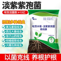 根線康 改良土壤死苗爛根枯萎防線蟲促生長 根線康/500g/袋