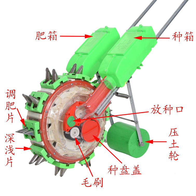 圖片_11